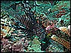 M0011055.JPG
