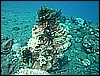 M0011056.JPG