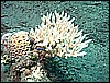 M0011059.JPG