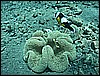 M0011083.JPG