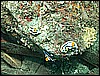 M0011102.JPG