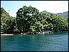 M0011110.JPG