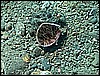 M0011144.JPG
