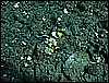 M0011148.JPG