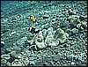 M0011156.JPG