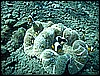 M0011173.JPG