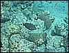 M0011191.JPG