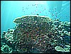 M0011202.JPG