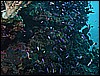 M0011205.JPG