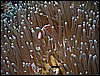 M0011235.JPG