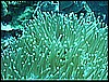 M0011240.jpg