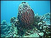 M0011253.JPG