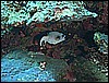 M0011256.JPG