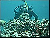M0011267.JPG