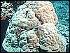 M0011272.JPG