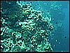 M0011277.jpg
