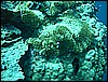 M0011280.JPG