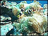 M0011281.JPG
