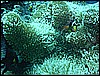 M0011291.JPG