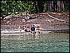 PICT0127.JPG