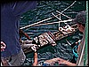 PICT0131.JPG
