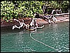 PICT0133.JPG