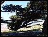 DSC00028.JPG