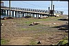 IMG_0560.JPG