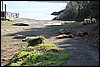 IMG_0561.JPG