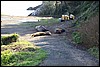 IMG_0563.JPG