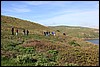 IMG_0582.JPG