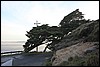 IMG_0619.JPG