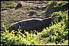 IMG_0634.JPG