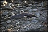 IMG_0636.JPG
