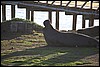 IMG_0638.JPG