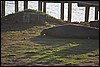 IMG_0640.JPG