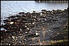 IMG_0641.JPG