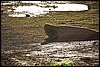 IMG_0642.JPG