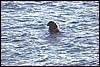 IMG_0644.JPG