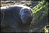 IMG_0650.JPG