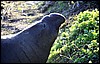 IMG_0654.JPG
