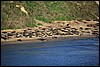 IMG_0667.JPG
