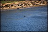 IMG_0672.JPG