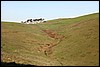 IMG_0677.JPG