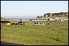 IMG_0678.JPG