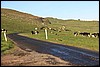 IMG_0680.JPG