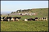 IMG_0682.JPG