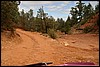 IMG_5768.JPG