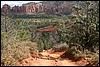 IMG_5810.JPG