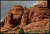 IMG_5873.JPG